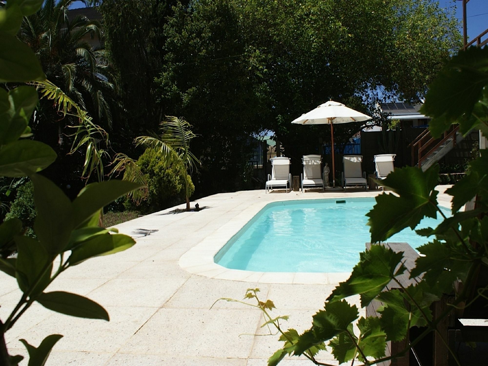 Cape Standard Guest House Cape Town Eksteriør bilde